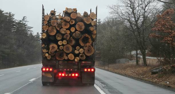 Lampu Belakang pada Truk dan Cara Merawatnya